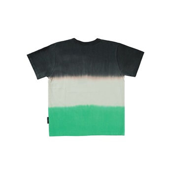 Riley T- Shirt - Green Stripe Dye