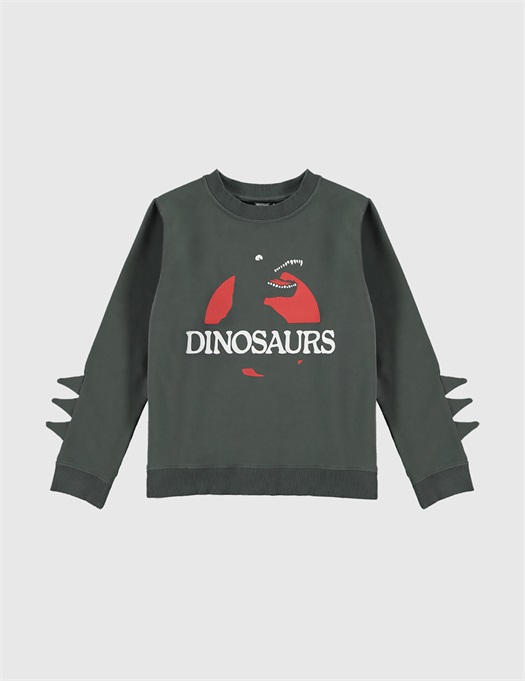 Dinosaurs Spines Sweatshirt