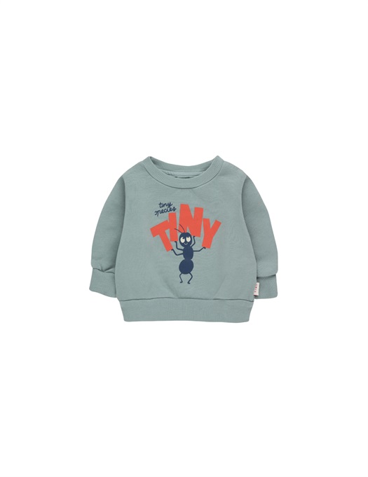 Baby Tiny Fortis Formica Sweatshirt