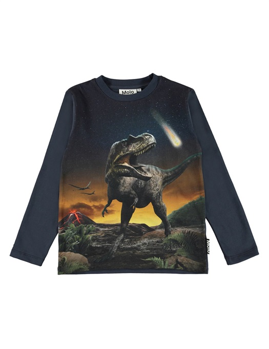Reif Sweatshirt Dino Roar