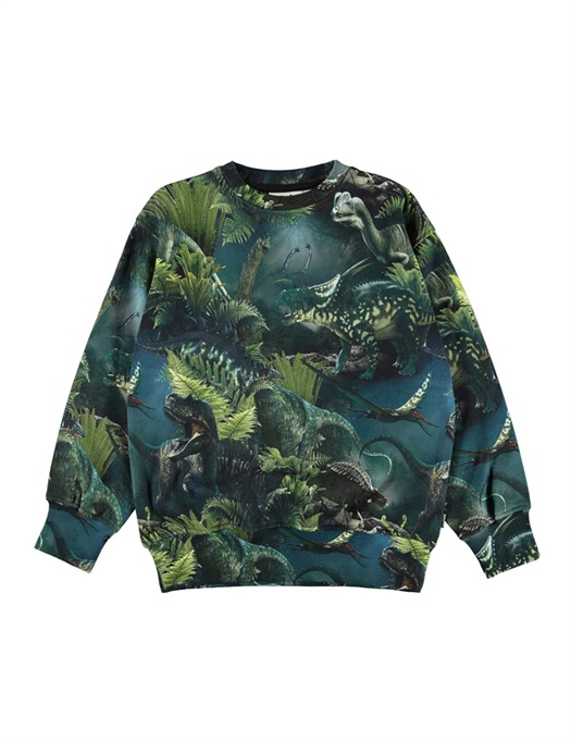 Mattis Sweatshirt Dino Night