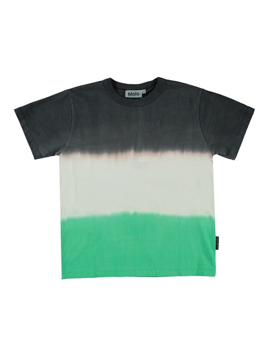 Riley T- Shirt - Green Stripe Dye