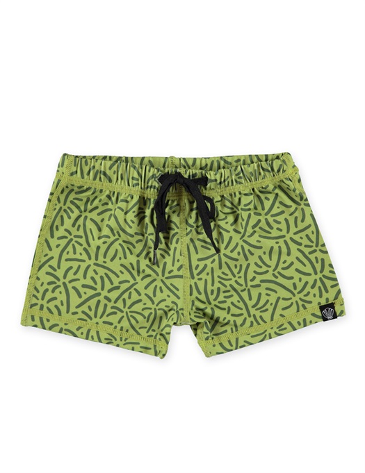 Endless Palms Swimshorts UPF50+