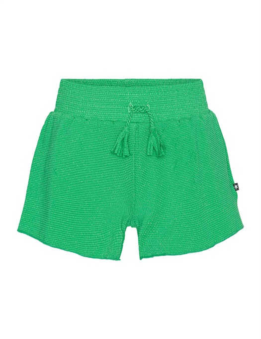 Nicci Swim Shorts - Bright Green