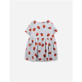 Baby Ladybug All Over Woven Dress