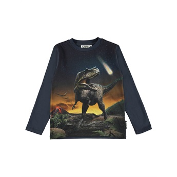 Reif Sweatshirt Dino Roar