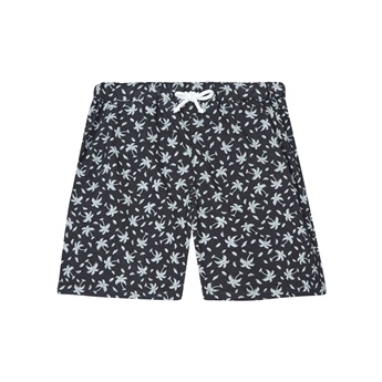 Booby Swimshorts Carbone