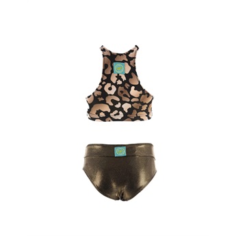 Delphine Panther Flash
