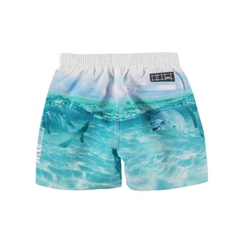 Niko Swimshorts - Funny Fish