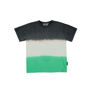 Riley T- Shirt - Green Stripe Dye