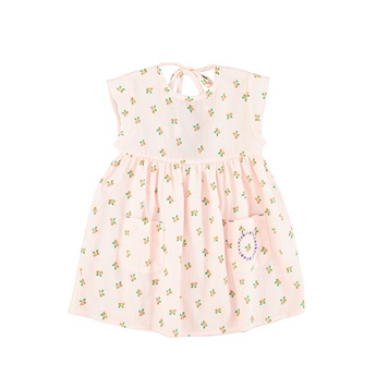 Light Pink / Flowers Short Dress