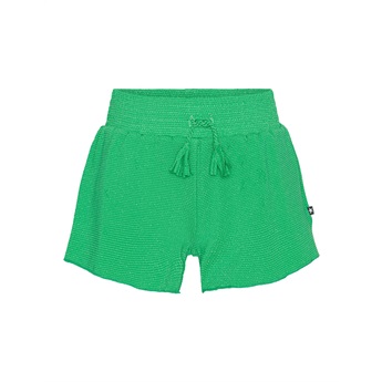 Nicci Swim Shorts - Bright Green