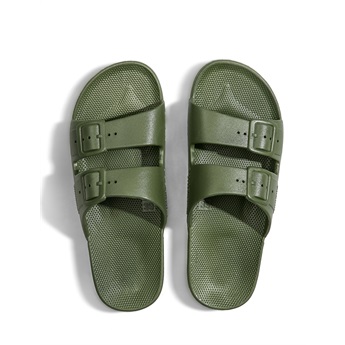 Freedom Moses Cactus