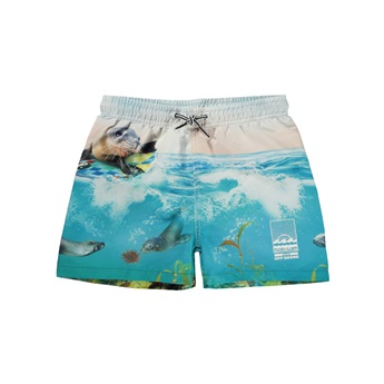 Niko Swimshorts - Sealion