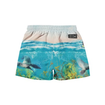 Niko Swimshorts - Sealion