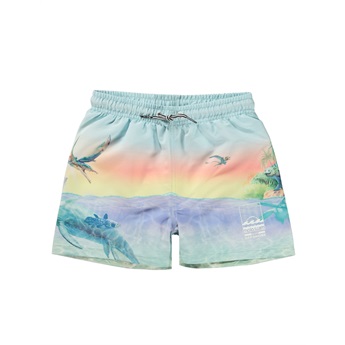 Niko Swimshorts - Ancient Island