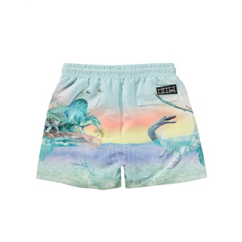 Niko Swimshorts - Ancient Island