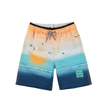 Neal Swimshorts - Sunset Beach