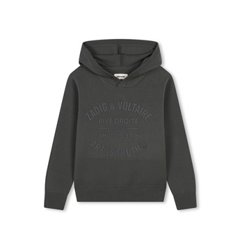 Art Is Truth Hooded Sweatshirt - Charcoal