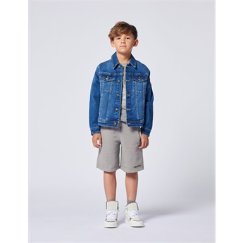 Z&V Bermuda Shorts Grey