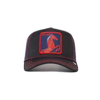 Goorin Bros Cap - Stallion Trip, Black