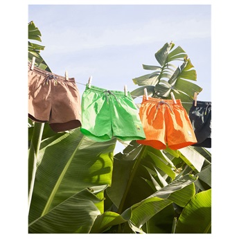 Niko Swimshorts - Green Vibes