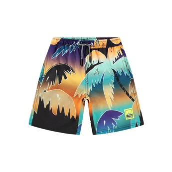 Nilson Swimshorts - Faded Palmtrees