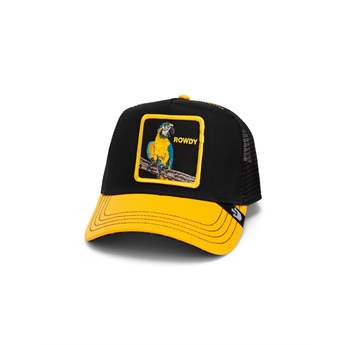 Goorin Bros Cap - Rowdy Bird Black Parrot
