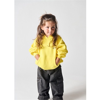 Izubird Hooded Sweatshirt - Acacia Vintage