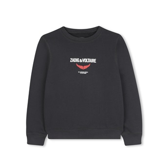 Z&V Logo Sweatshirt - Red/Black