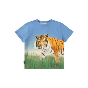 Rubin T-Shirt - Tiger on Blue