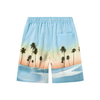 Nilson Swimshorts - Sunrise Skate