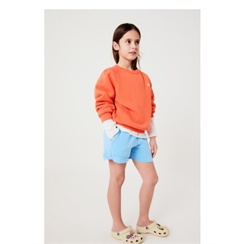 Izubird Shorts - Vintage Light Blue