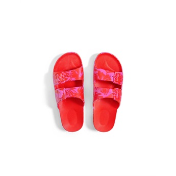 Freedom Moses Fancy Tropix Fuji