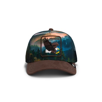 Goorin Bros Cap - Element Eagle Multicolour