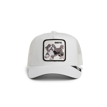 KIDS Goorin Bros Cap - Bestie Dog White
