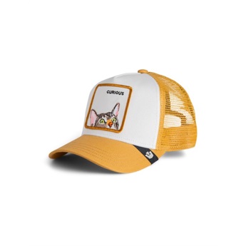 KIDS Goorin Bros Cap - Curious Cat Ochre