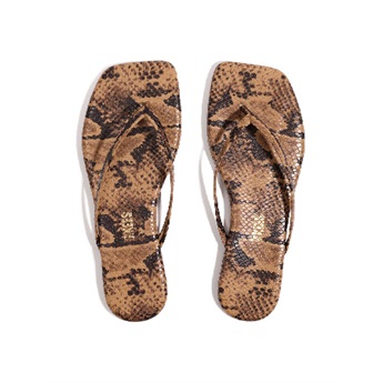 Square Toe Exotic - Cocosnake