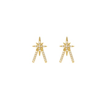 Earring - Diwali Bird