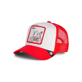 KIDS Goorin Bros Cap - Wild Tiger,Red