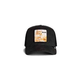 Goorin Bros Cap - Terry Cloth Cat,Black