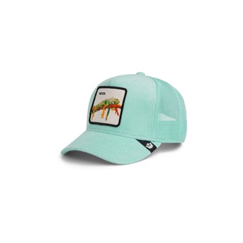Goorin Bros Cap - Terry Cloth Iguana,Mint