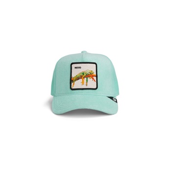 Goorin Bros Cap - Terry Cloth Iguana,Mint